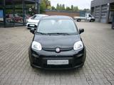Fiat Panda 1.0 Hybrid-Klimaautomatik-CarPlay-Licht/Re - Fiat Panda in Hamm