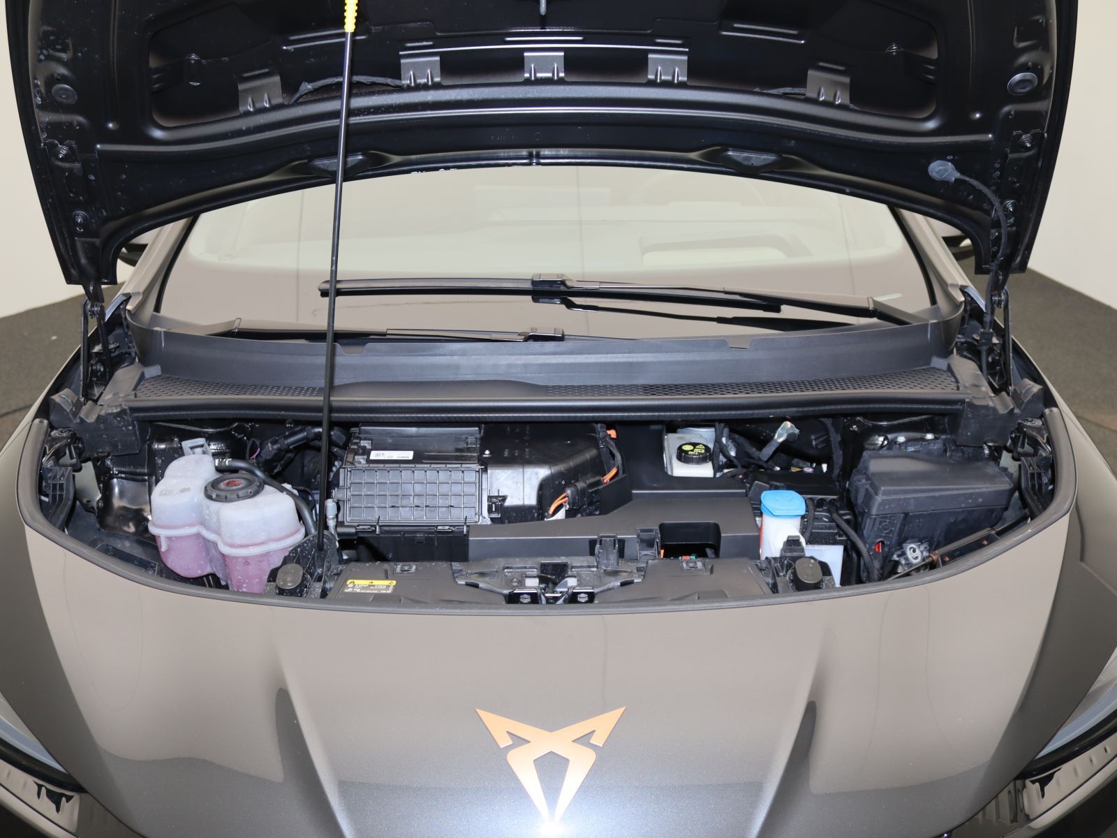 Cupra Born - Bild 17