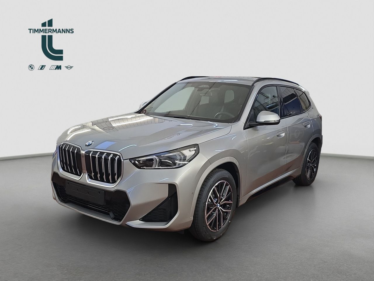 BMW X1 20i M-Sport Pano AHK Prem Travel HK DA PA