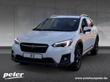 Subaru XV 1.6i Exclusive Automatik Klimaautomatik (M) - Subaru XV aus 2019