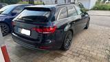 Audi A4 Quattro B9 S line Standheizung ACC - Audi: Q9