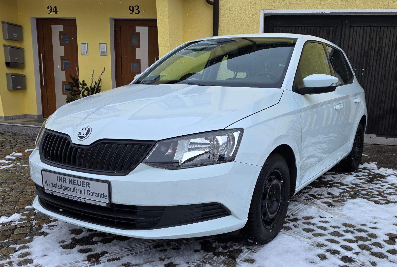 Skoda Fabia "Cool Plus"_Klima_e. FH_8 fach bereift..