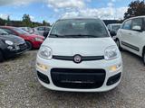 Fiat Panda Easy * Klima * PDC - gebrauchte Fiat Panda aus dem Jahr 2020