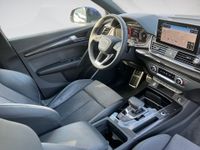 Audi SQ5 - Vorschau Bild 9