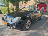 Mercedes-Benz SLK 200 K" FINAL EDITION,Voll,kein Rost,. lesen! - Mercedes-Benz SLK 200: Final Edition