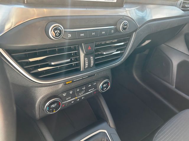 Focus Titanium Turnier*