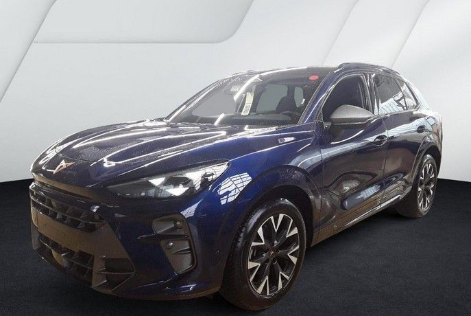 Cupra Terramar - Bild 2