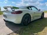 Porsche Cayman GT4 Clubsport 981 Schalensitze Approved - Porsche Cayman aus 2015