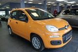Fiat Panda 1.0 Mild Hybrid- Klima - 5-Türig - - Fiat Panda: Orange