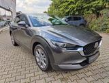 Mazda CX-30 2.5L e-SKYACTIV G FWD Exclusive-line - Mazda CX-30 mit Hybrid-Antrieb: Exclusive Line