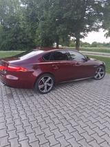 Jaguar XF S AWD 380PS V6 3.0 L Automatik S  *Meridian* - Jaguar XF: Awd