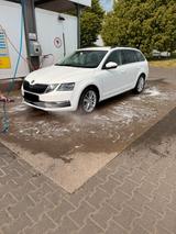 Skoda Octavia 2.0 TSI DSG 4x4 Style Combi Style - Skoda Octavia von privat