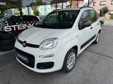 Fiat Panda 1.2 My Panda * TÜV & Service NEU * S-Heft - Fiat Panda Gebrauchtwagen in Bielefeld