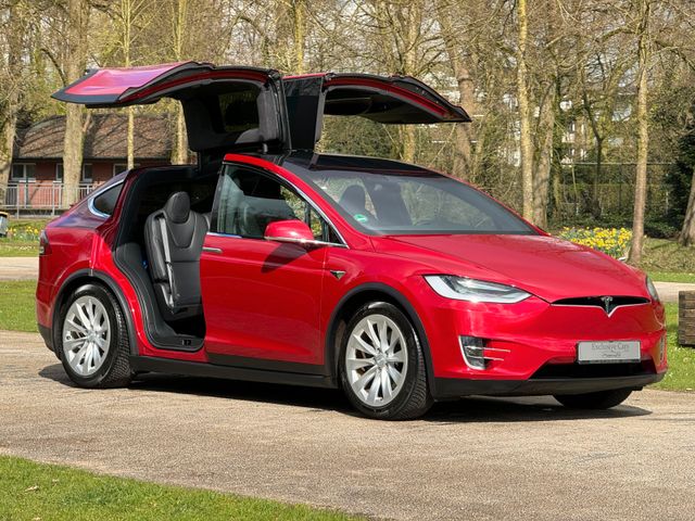 Tesla MODEL X LR RAVEN | AP 3.0  | CCS | KALTWETTER |