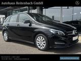 Mercedes-Benz B180 STYLE+LED+KAMER SITZHZ+NAVI+7GDCT+ALLWETTER - Mercedes-Benz Gd
