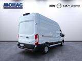 Ford Transit Trend 350 L3 H3 *Laderaumschutzpaket* - Kühlkastenwagen