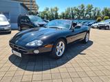 Jaguar XK8 Cabriolet 4.0 V8 Top Zustand! - Jaguar XK8 aus 2001