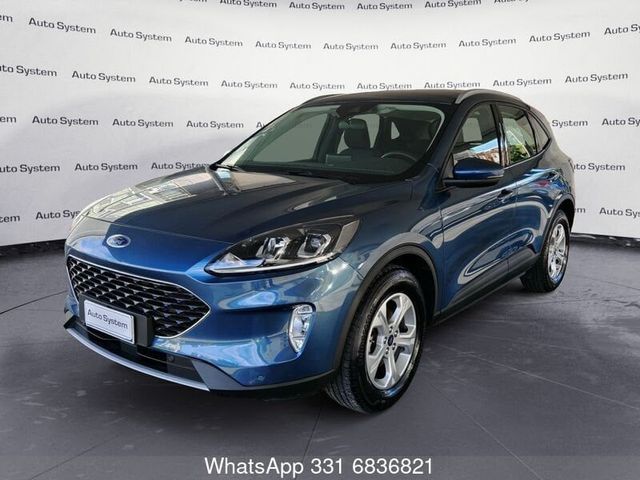 Ford Kuga 1.5 EcoBlue 120 CV 2WD ST-Line