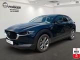 Mazda CX-30 Exclusive-Line Matrix LED 360° Kamera Bose - Mazda CX-30 Gebrauchtwagen in Dresden
