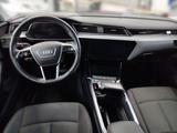 Audi e-tron 50 quattro advanced  - Audi e-tron: Von Privat