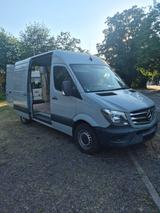 Mercedes-Benz Sprinter 316 CDI Kamera L2 H2 AHK. 3,5t 270° 3si - Tier-/Pferdetransport 3 5t