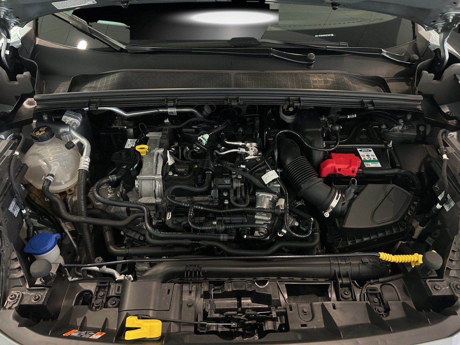 Fahrzeugabbildung Ford Puma ST Line,FGS 3.-5 Jahr
