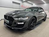 Ford Mustang 2.3 Eco Cabrio/Shelby GT-500/Premium/R19 - Ford Mustang: Shelby Gt500