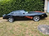 Chevrolet chevrolet camaro belinetta 1979 - Chevrolet Gebrauchtwagen von 1979