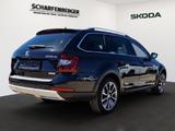 Skoda Octavia Combi Scout *Sthz.,AHK,RFK,TWA* - Skoda: Combi Scout