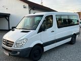 Mercedes-Benz Sprinter 313 CDI KLIMA/9-SITZER/1.HAND - Mercedes-Benz Sprinter: Sitzer 9