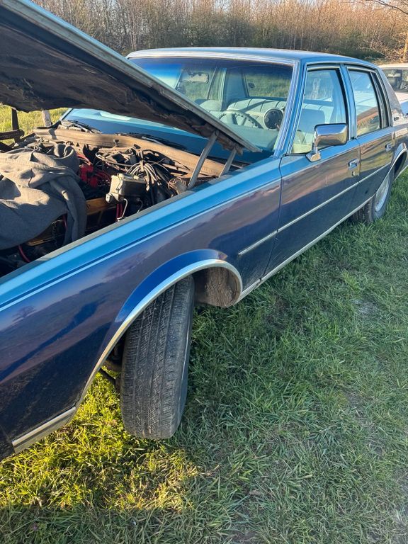 Image of Chevrolet Caprice