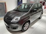 Fiat Panda Easy - gebrauchte Fiat Panda aus dem Jahr 2019