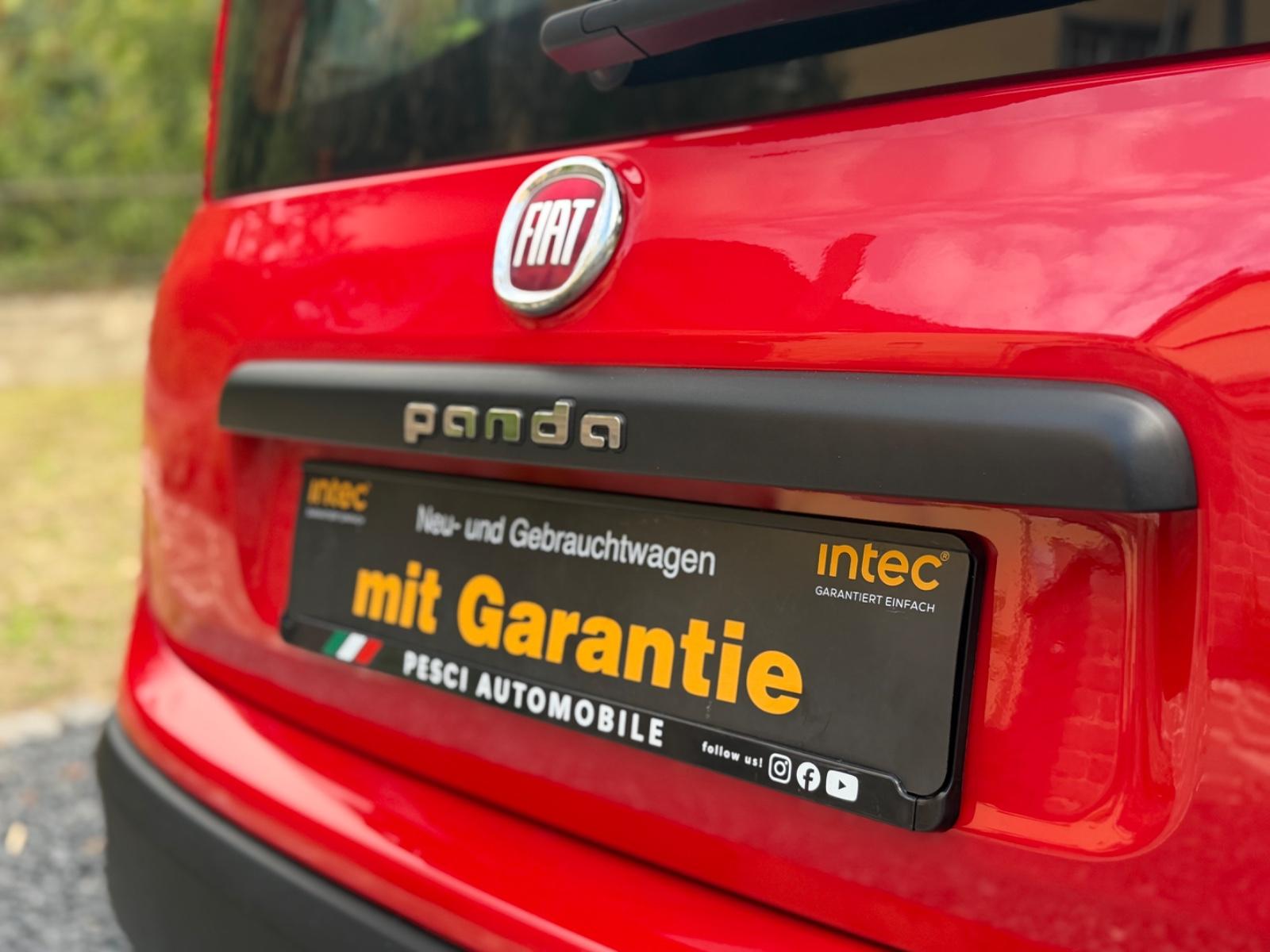 Fiat Panda 1.2 Easy LPG Autogas |1Hand|Neuwertig|LED