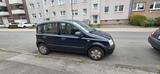 Fiat Panda - Fiat Panda Gebrauchtwagen in Bochum