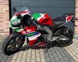 Aprilia RS 125 Replica - APRILIA RS 125 REPLICA