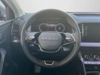 Skoda Karoq - Vorschau Bild 9