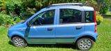Fiat Panda - gebrauchte Fiat Panda aus dem Jahr 2011