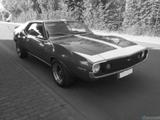 Andere AMC Javelin AMX V8, seltener Survivor, TÜV neu  - : Sportwagen, Seltene