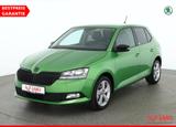 Skoda Fabia 1.0 TSI Klima DAB PDC - Skoda Fabia: Grün