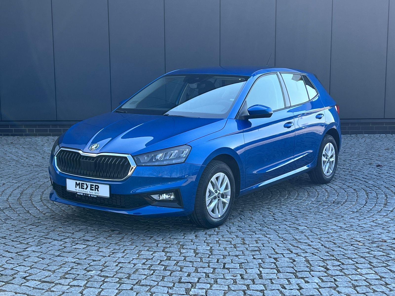 Fahrzeugabbildung SKODA Fabia Selection 1.0 TSI DSG *Garantie, WinterPlu