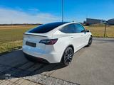 Tesla Model Y Performance Dual Motor AWD Performance - Tesla Model Y: Performance