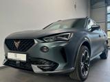 Cupra Formentor Matt grau LED Sitzheizung app connect - Cupra Formentor Matt Gebrauchtwagen