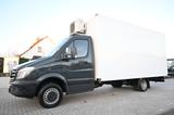 Mercedes-Benz Sprinter 516CDI WOMO,STANDKLIMA,EURO5,AHK - Mercedes-Benz 5