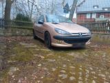 Peugeot 206 RC Teile, Edelstahl Supersport... - Peugeot 206: 206rc