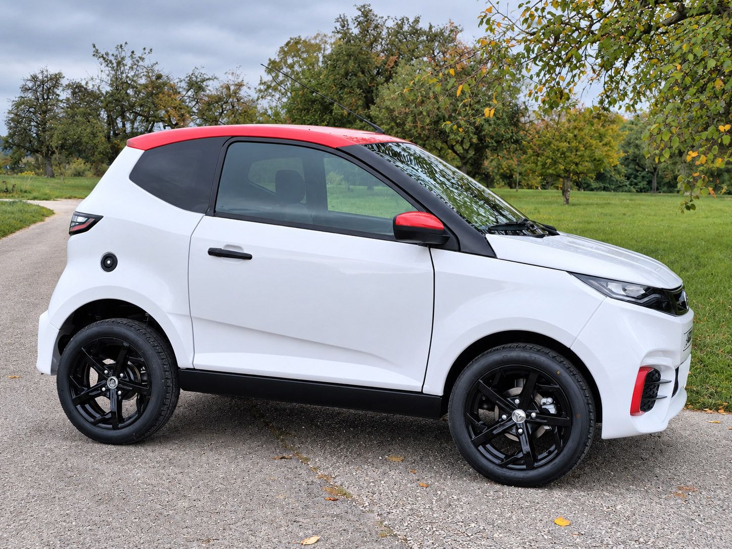 Aixam Diesel Sport imagem 3