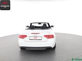 Audi S5 Cabrio 3.0 TFSI qu MEMORY,TEMPOMAT,SCHECKHEFT - Audi S5: 3.0