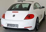 Volkswagen Beetle Lim. Design SH,PDC,Panorama,SR 20"+WR - Volkswagen Beetle: Limousine