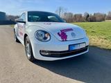Volkswagen Beetle 1.2 TSI CUP  - Volkswagen Beetle: Cup