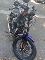 Harley-Davidson Sportster 883 Iron - HARLEY-DAVIDSON IRON