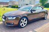 Audi A5 Cabrio 3.0 TDI quattro S-tronic VOLL, TÜV NEU - Audi Cabriolet mit Diesel-Antrieb: Cabrio